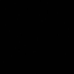 Meet your Posher, Quinlin